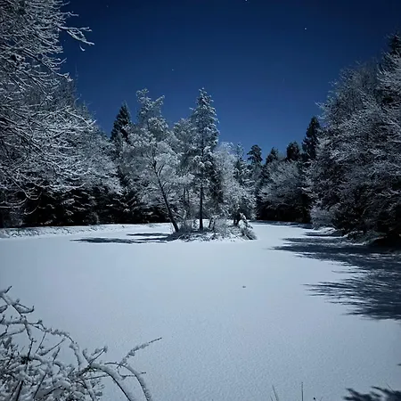 Alpesi faház - Avec Etang
