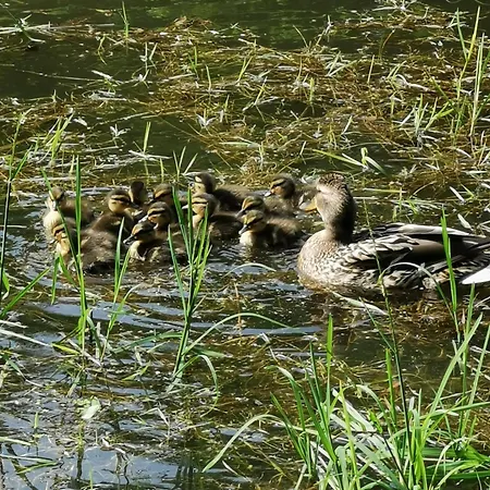 - Avec Etang Deneuvre